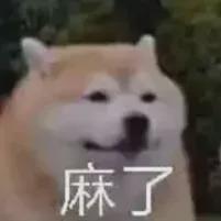 开云官方网站-麻了，特雷杨麻了！NBA第一高分背景板诞生